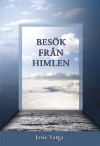 bok besök från himlen