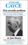 Den sovane profeten - bok